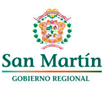 Empleos GOBIERNO REGIONAL DE SAN MARTÍN