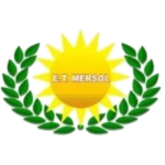 Empleos TRANSPORTES MERSOL S.A.C