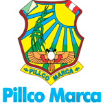 Convocatoria MUNICIPALIDAD DE PILLCO MARCA